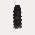 Burmese Curly